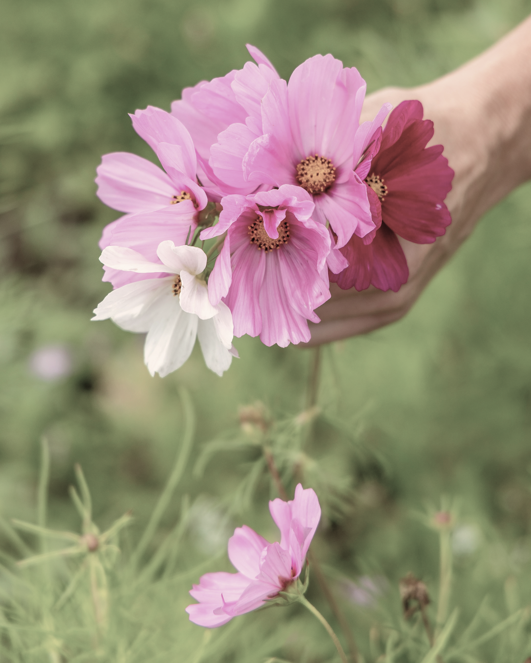 Cord Cutting: A grounded Guide to Healing and Release