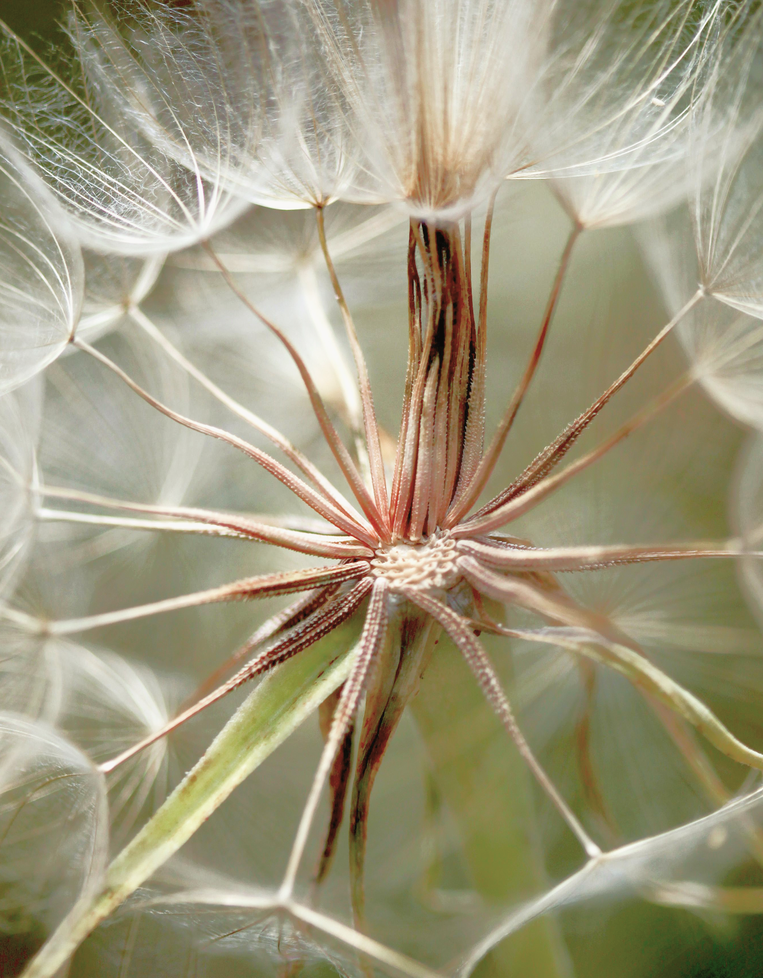 Are You a Starseed? Discover the Signs, Traits, and 5 Soul Origins