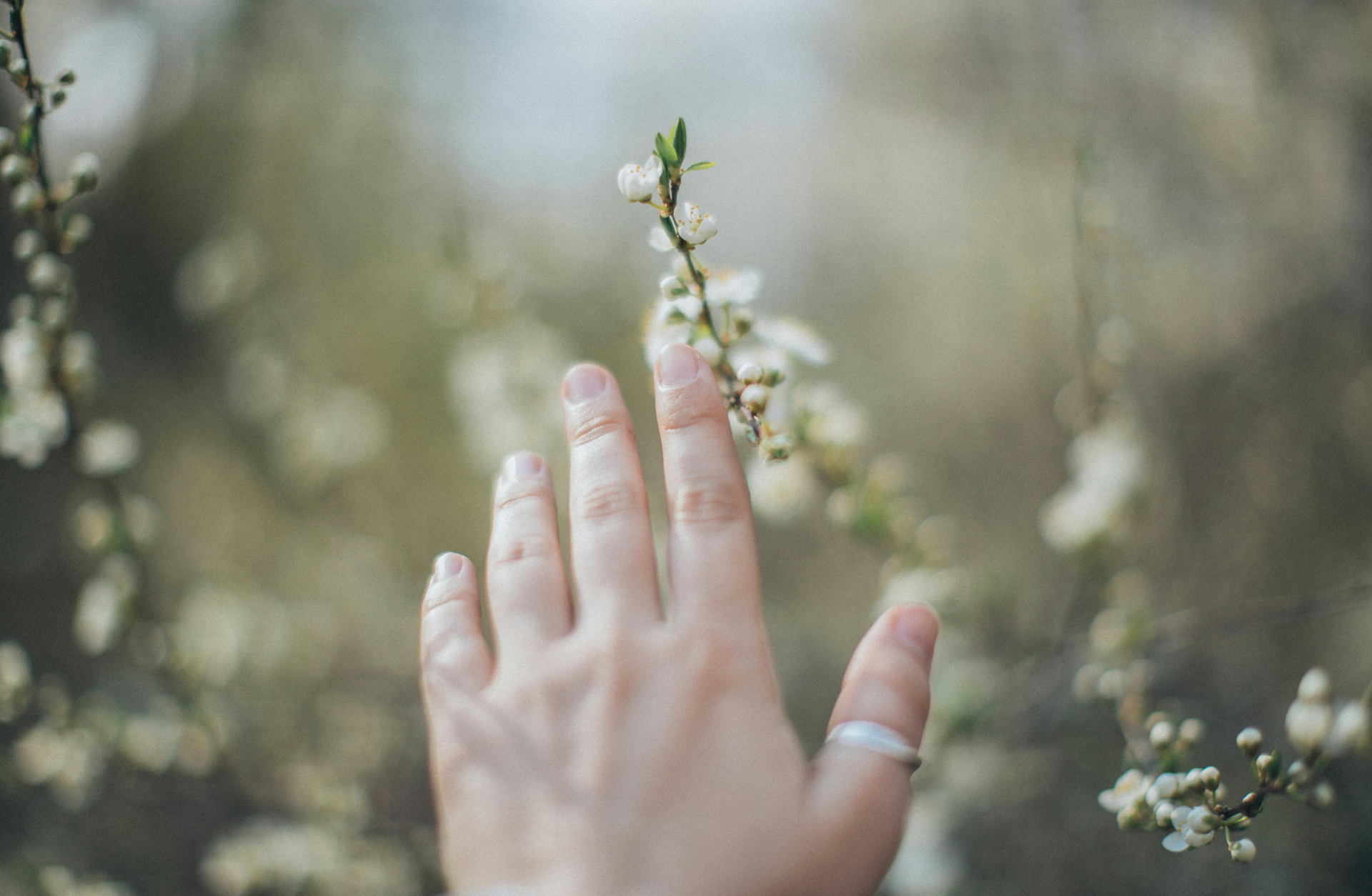 Why Your Soul Chose This Life (and What It's Here to Learn)